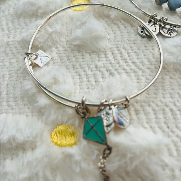 Alex and Ani Bracelet Collection of Nine - Picture 5 of 10